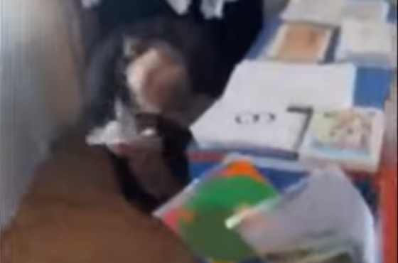 უბანზე, სადაც „ოცნების“ კოორდინატორები მაგიდის ქვეშ „იპოვეს“, ხატია დეკანოიძემ გაიმარჯვა