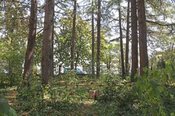 მესხიშვილის თეატრის ეზოში „მწვანე თეატრი“ გაიხსნება  (ფოტო)