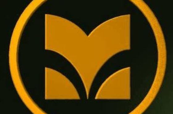 „ჩემი ლიტერატურული IQ“ - საჯარო ბიბლიოთეკის ონლაინ კონკურსი