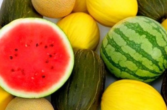 ქართულ საზამთროსა და ნესვში ნიტრატების შემცველობა ნორმაშია - სეს