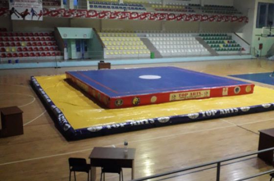 ქუთაისში უშუს ტურნირი ჩატარდება