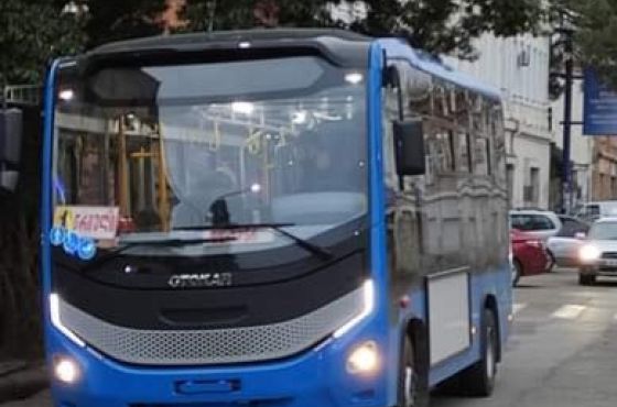 მომავალი კვირიდან, შესაძლოა, ტრანსპორტსა და სავაჭრო ცენტრებზე შეზღუდვები გამკაცრდეს