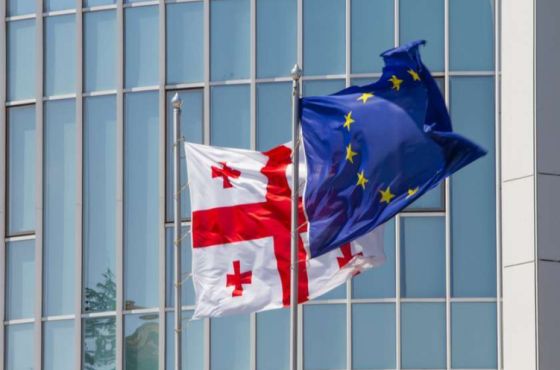 „ვგმობთ საქართველოს ხელისუფლების ყველა ქმედებას, რომელმაც გამოიწვია დემოკრატიული უკუსვლა“
