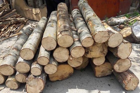 6 თვეში საქართველოში 4 121 გარემოსდაცვითი სამართალდარღვევა გამოვლინდა