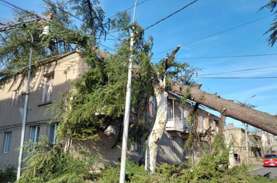 იმერეთში, ძლიერი ქარის შედეგად, 70-მდე სახლის სახურავი დაზიანდა