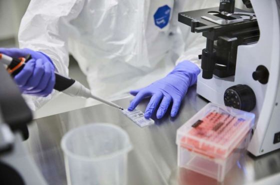 კორონავირუსის 4 დეკემბრის სტატისტიკა