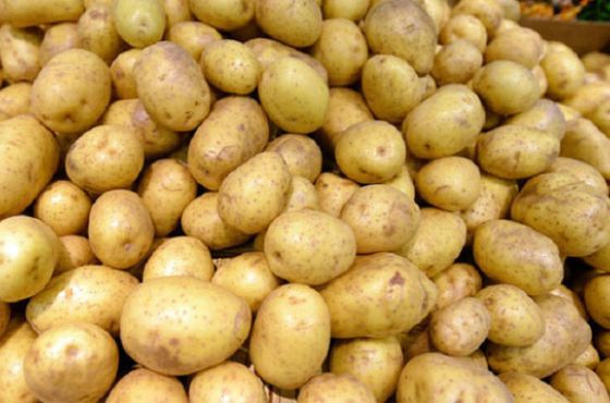 საქართველოში შესაძლოა კარტოფილის დეფიციტი შეიქმნას