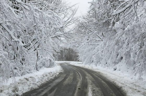 ნაქერალას უღელტეხილზე ტრაილერების გადაადგილება აკრძალულია