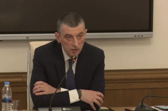 "თქვენ ამ კომისიას იყენებთ ჰიბრიდული ომისთვის" - გახარია თეა წულუკიანს