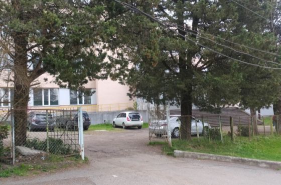 "იყო ფიზიკური შეხება" - დირექტორი სკოლაში მომხდარ ინციდენტზე