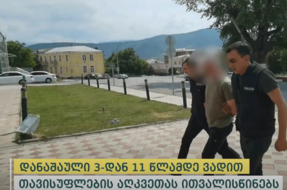 იმერეთსა და სხვა ქალაქებში ამოღებულია უკანონო იარაღები და საბრძოლო მასალა - არიან დაკავებულები