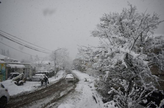 ხარაგაულში აბონენტებს მეორე დღეა  ელექტროენერგია  არ მიეწოდება