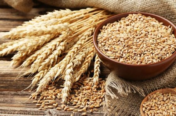 დღეიდან რუსეთი ხორბალზე გადასახადს კიდევ ზრდის