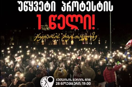 "ერთი წლის თავზე კვლავ შევიკრიბებით, რათა კიდევ ერთხელ დავანახოთ ყველას, რომ ბრძოლა გრძელდება გამარჯვებამდე"
