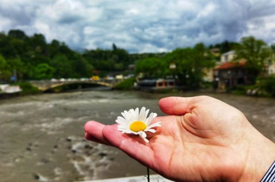 "გვირილობა"   VS   "გვირილობა"