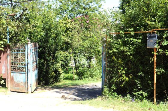 თერჯოლაში 11 წლის ბიჭს, შესაძლოა, წესი არ აუგონ