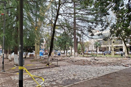 სასამართლოს გადაწყვეტილებამდე განხორციელებული დემონტაჟი - "სავანე"  დაანგრიეს 