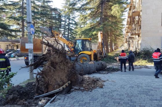 მოგლეჯილი ხეები, დაზიანებული ელექტროგადამცემი ხაზები და შენობის სახურავები ქუთაისში