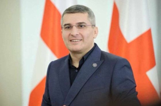 „ოცნების“ გადაწყვეტილებით, სისხლის სამართლის კოდექსს „სამშობლოს ღალატის“ მუხლი დაემატება