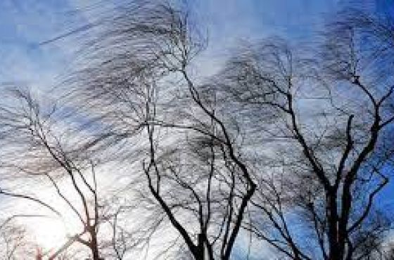 4 თებერვლიდან საქართველოში ნალექი და ძლიერი ქარია  მოსალოდნელი