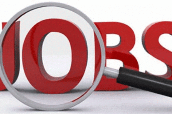 ვეძებთ ძიძას ქუთაისში (R)