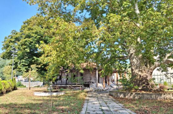 „ოქროს ჩარდახის“ რეაბილიტაციაზე მერია ტენდერს მესამედ აცხადებს