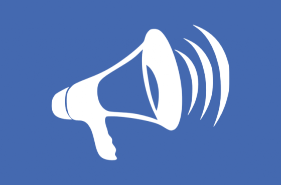 თვითმმართველობების Facebook გვერდებზე მმართველი პარტიის წარმოჩენა გახშირდა - ISFED