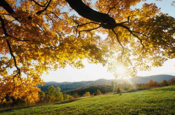 შაბათ-კვირას ქუთაისში მზიანი ამინდია მოსალოდნელი