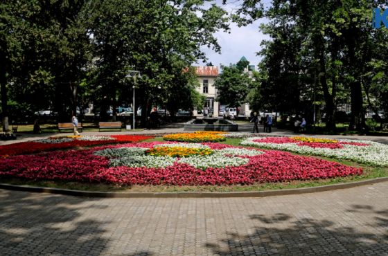 ქუთაისის მერიის „ფავორიტი“ კომპანია და ყვავილებში დახარჯული მილიონები