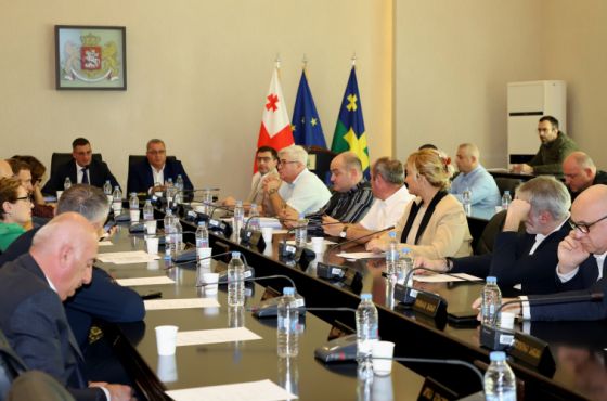 "გუბერსკის ციხისა" და საკონსერვო ქარხნის ტერიტორის განაშენიანების გეგმის საბოლოო ვერსიას საკრებულოზე მხარი დაუჭირეს