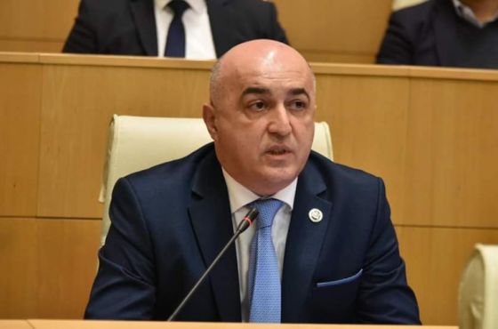 ნიკა მელიასთვის იმუნიტეტის მოხსნას მხარი ქუთაისის მაჟორიტარმა დაუჭირა