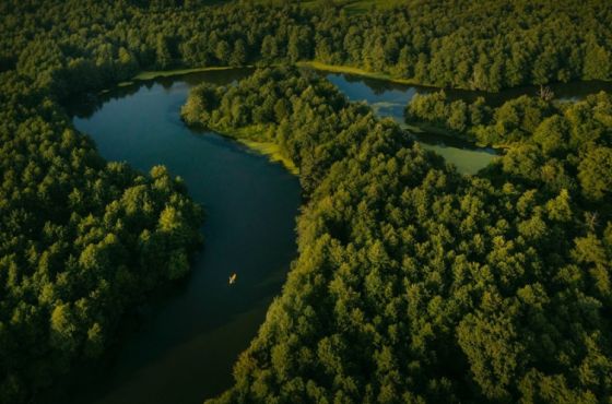 კოლხური ტყეები და ჭარბტენიანი ტერიტორიები Google-ის შემეცნებით პლატფორმაზე განთავსდა