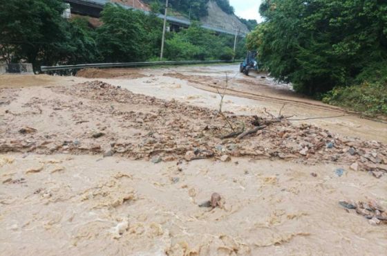 რიკოთზე ავტოტრანსპორტის მოძრაობა აღდგა