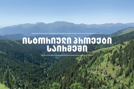 მალე საირმის ტყეს კეთილშობილი კავკასიური ირემი დაუბრუნდება - ფერმის მშენებლობა 2025 წლის გაზაფხულზე დაიწყება