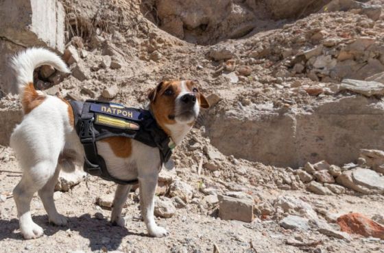  „პატრონმა“ კანის კინოფესტივალზე ჯილდო მიიღო