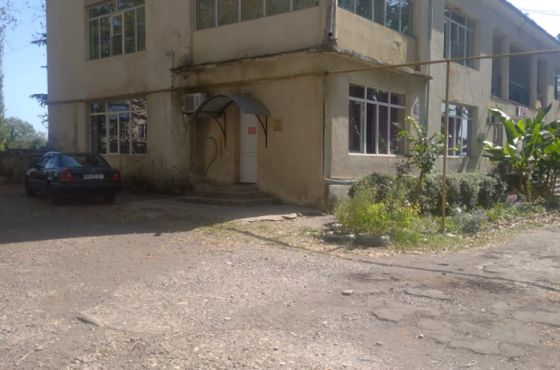 არასრულწლოვნის მიმართ შესაძლო გარყვნილი ქმდება წყალტუბოში - მოზარდს ექსპერტიზა უტარდება