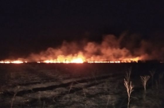 წყალტუბოს მუნიციპალიტეტში  მაშველები ხანძარს ებრძვიან