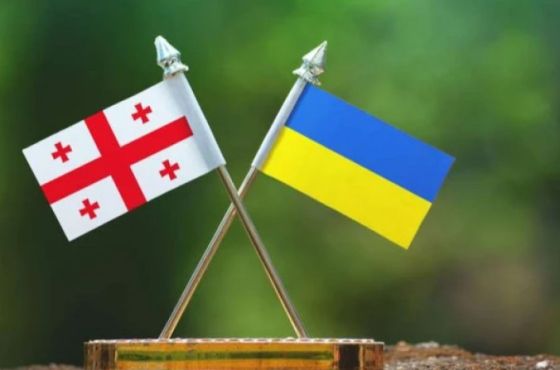 საქართველოს საპარლამენტო დელეგაცია კიევში ჩავიდა