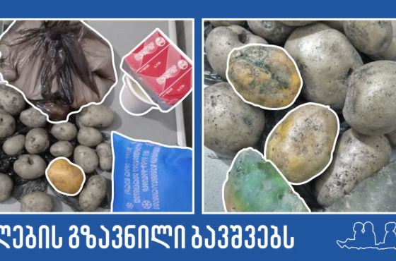 გაზრდილი ბიუჯეტი და განახევრებული მენიუ - რას უგზავნიდნენ პანდემიის დროს ბავშვებს