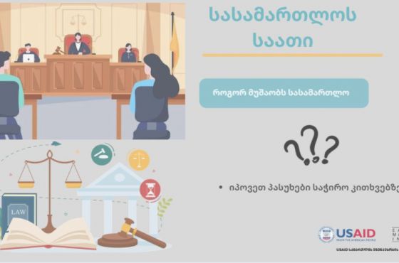 როგორ ინიშნებიან მოსამართლეები - სასამართლოს საათი (ვიდეო)