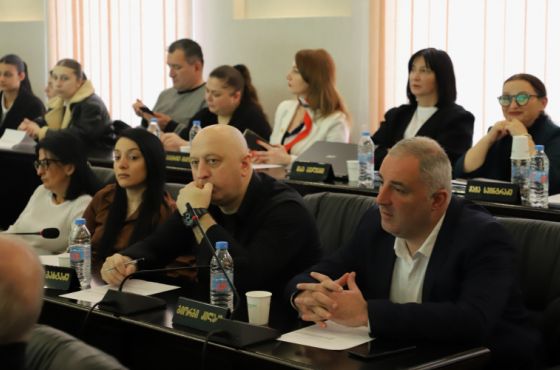 "პროგრესული პლატფორმა"- ენმ-ის ყოფილმა წევრებმა ფრაქციას სახელი შეუცვალეს