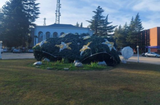 ძლიერმა ქარმა ხონში ნაძვის ხე წააქცია