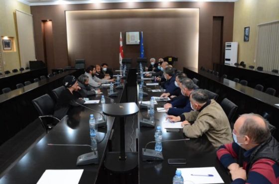 "მოიხსნა ის აპრიორი მტკიცება, რომ ჰესი ყველა შემთხვევაში აშენდება"