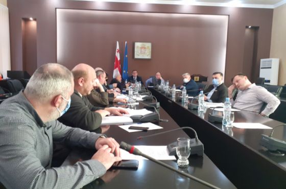   ოპოზიციამ ქუთაისის 2022 წლის ბიუჯეტს, შესაძლოა, მხარი არ დაუჭიროს 