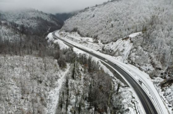 რიკოთზე გადაადგილების სპეციალური რეჟიმი სატვირთო ტრანსპორტისთვისაც გაუქმდა
