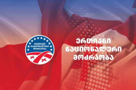 "ნაციონალური მოძრაობის“  რეგიონულ ორგანიზაციებში თავმჯდომარეების არჩევნები ჩაინიშნა