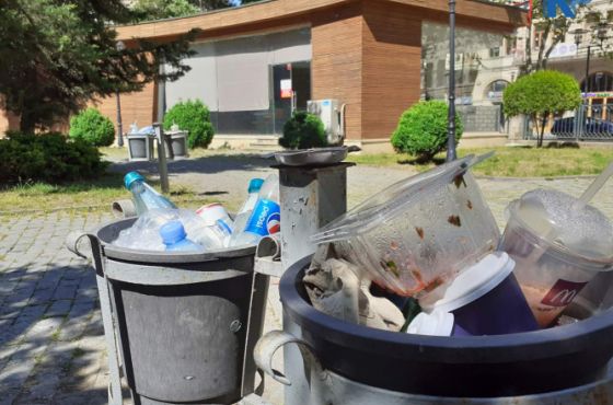 ნაგავი დასასვენებელ პარკში (ფოტო)