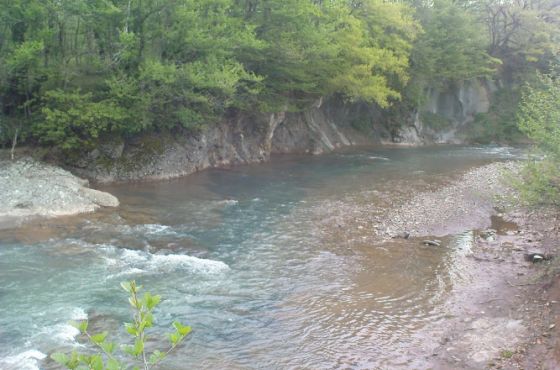 მდინარე წყალწითელაზე მოზარდი გარდაიცვალა