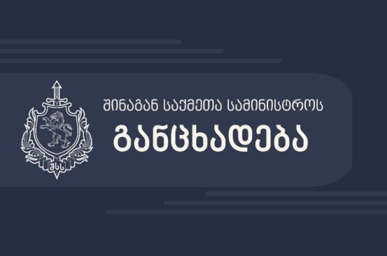 რა წერია შინაგან საქმეთა მინისტრის საარჩევნო ბრძანებაში 