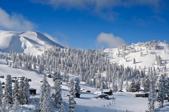 ახალი რეგულაცია  მთის კურორტებზე დამსვენებელთათვის